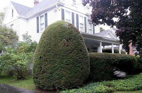 Park House Bed & Breakfast Johnson City Екстер'єр фото